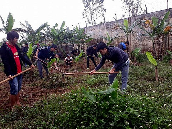 Các khóa học nghề nghiệp